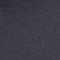 NCAA Alabama State Hornets Powerblend Hoodie