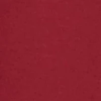 NCAA Tuskegee Golden Tigers Powerblend Hoodie