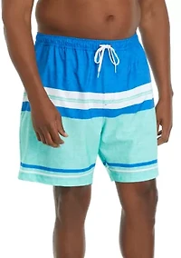 Big & Tall Printed Swim Trunks