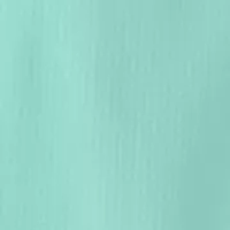 Big & Tall Short Sleeve Fishing Shirt