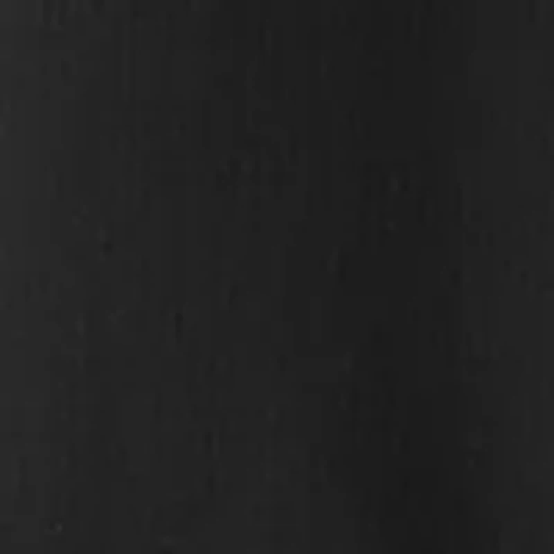 Big & Tall Short Sleeve Solid Fishing Shirt