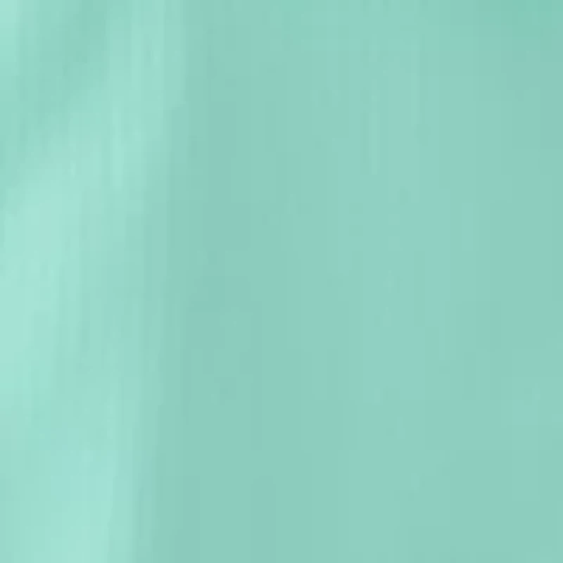 Men's Short Sleeve Solid Fishing Shirt