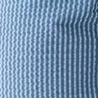 Men's Seersucker Shorts