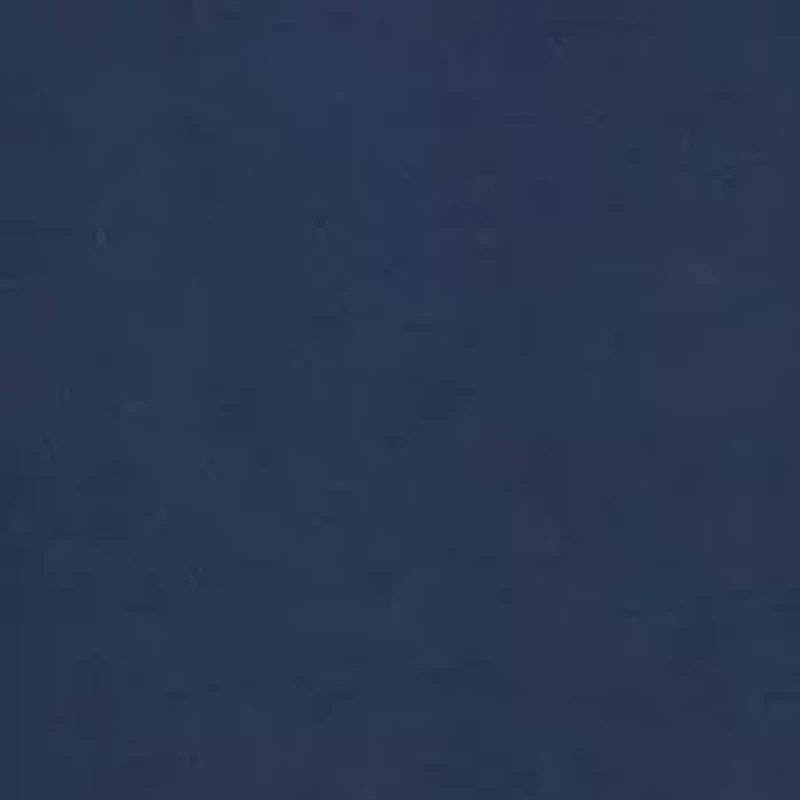 Walton Point Polo Shirt