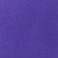 NCAA LSU Tigers Staple Hat 