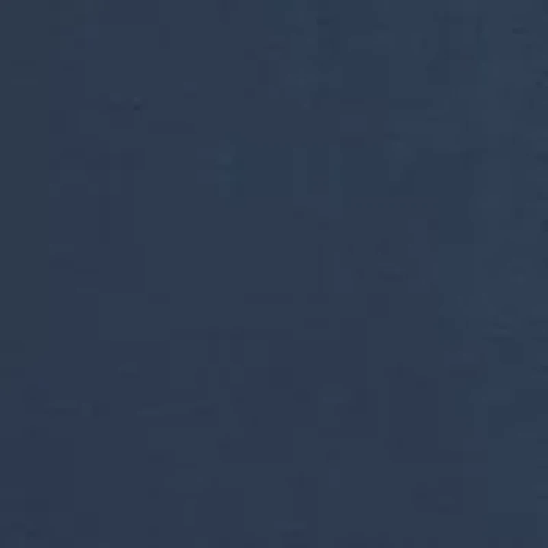 Pacey Graphic T-Shirt