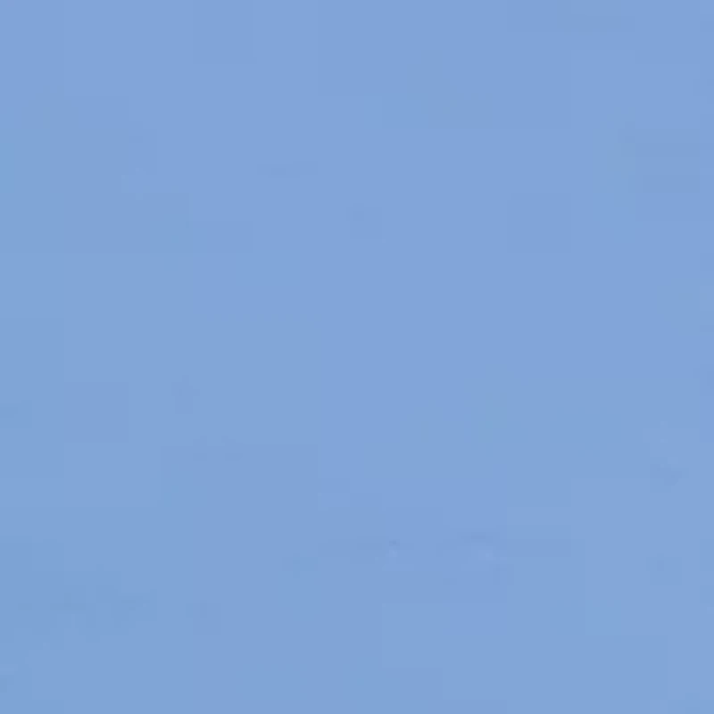 Men's Watch Dog Graphic T-Shirt