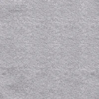 Men's Dogwood Graphic Shirt