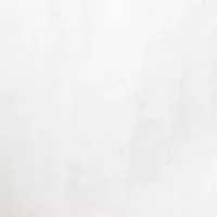 Men's Whitney Short Sleeve Graphic Shirt