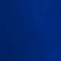 NCAA Florida Gators Drive Softshell Vest