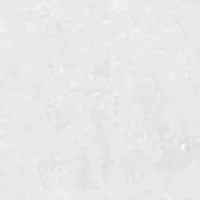 Big & Tall Fly Guy Graphic T-Shirt