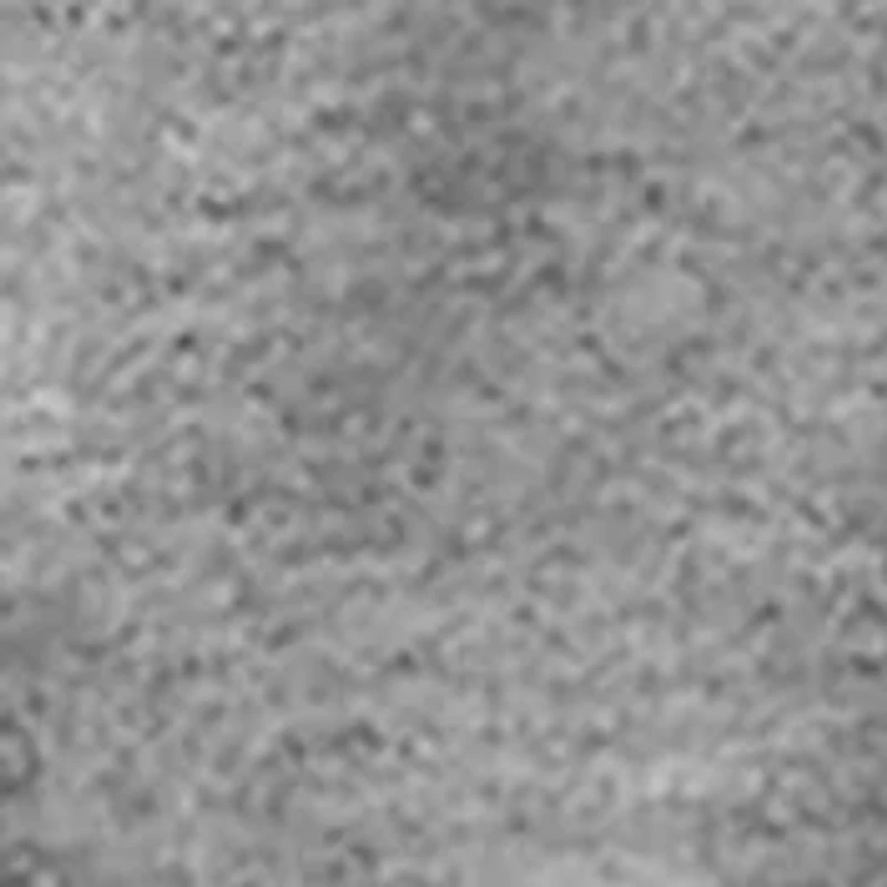 Sabers Emblem Graphic Fleece Hoodie