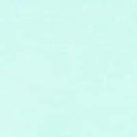 Men's OG Saltwater Core T-Shirt