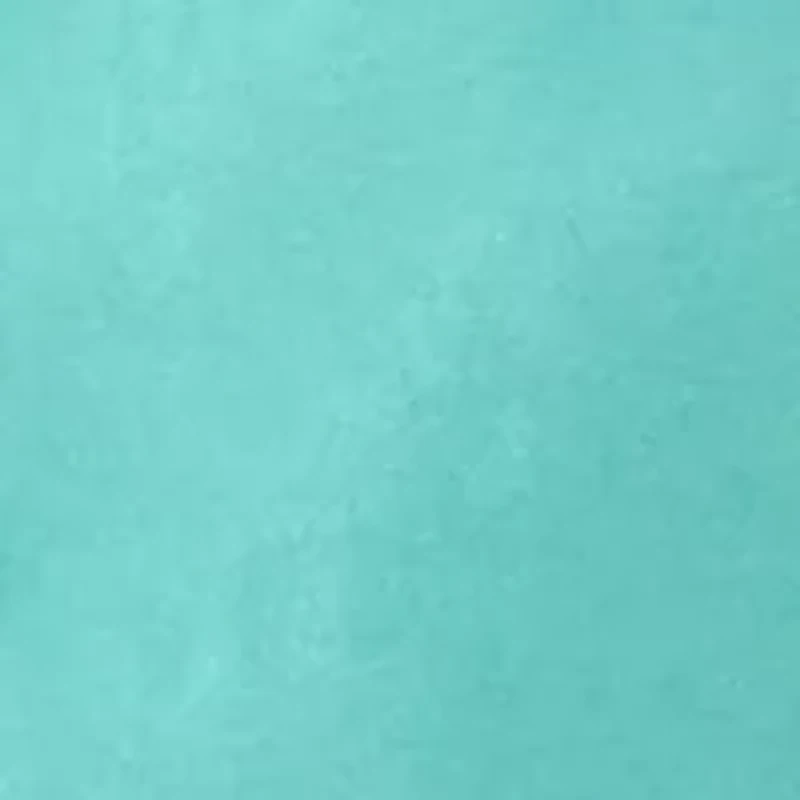 Blue Hawaiian Short Sleeve Graphic T-Shirt