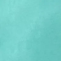 Blue Hawaiian Short Sleeve Graphic T-Shirt