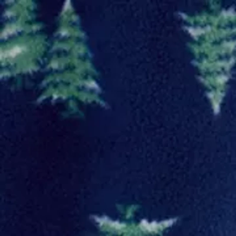 Men's Micro Fleece Sleep Pants