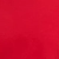 Holiday Christmas Dog Pajama Set