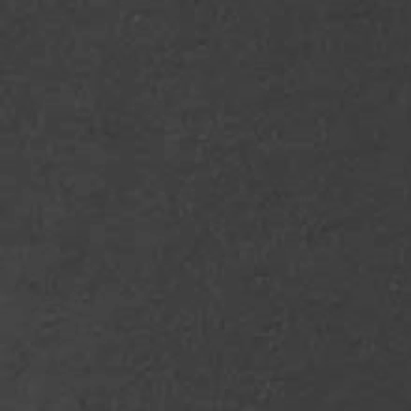 Blu Rock Men's Slim Fit Sleeveless Muscle Tee