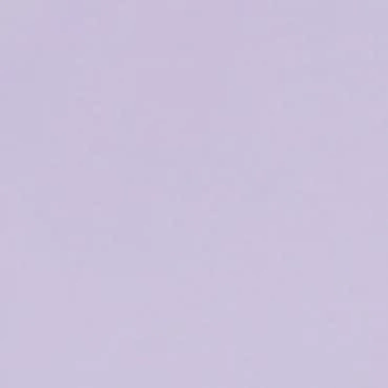 Slim Fit Solid Dress Shirt