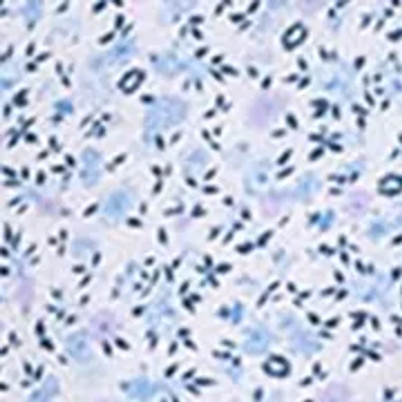 Men's Floral Print Long Sleeve Shirt