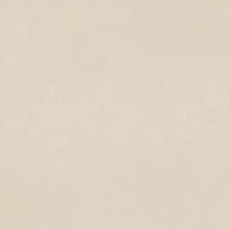 Solid Twill Cargo Shorts