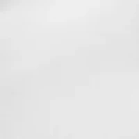 Short Sleeve Americana Fishing Polo Shirt