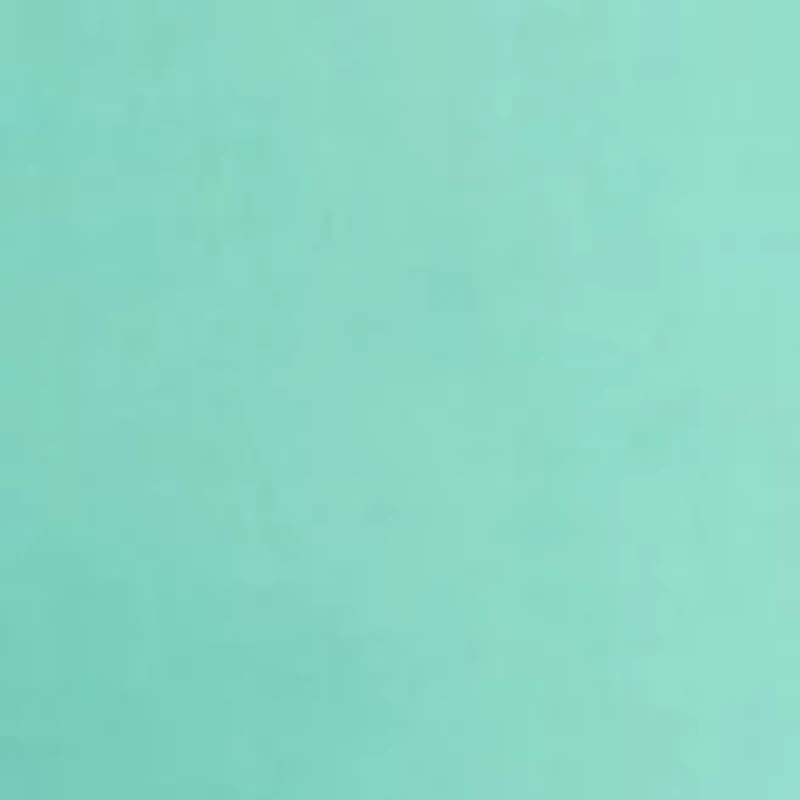 Big & Tall Long Sleeve Woven Poplin Shirt