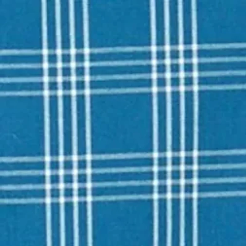 Big & Tall Long Sleeve Woven Poplin Plaid Shirt