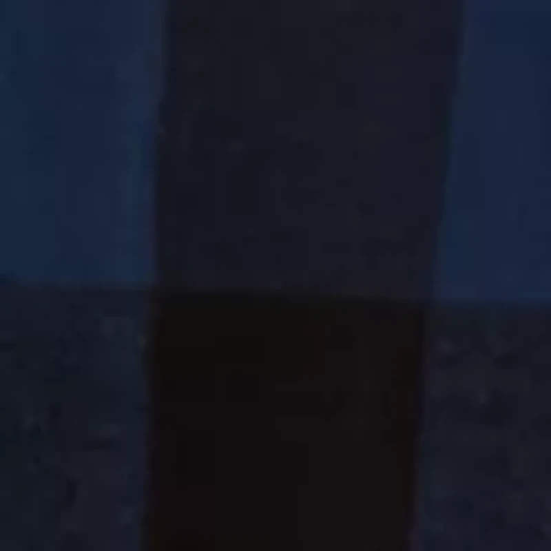 Long Sleeve Flannel Plaid Button Up Shirt