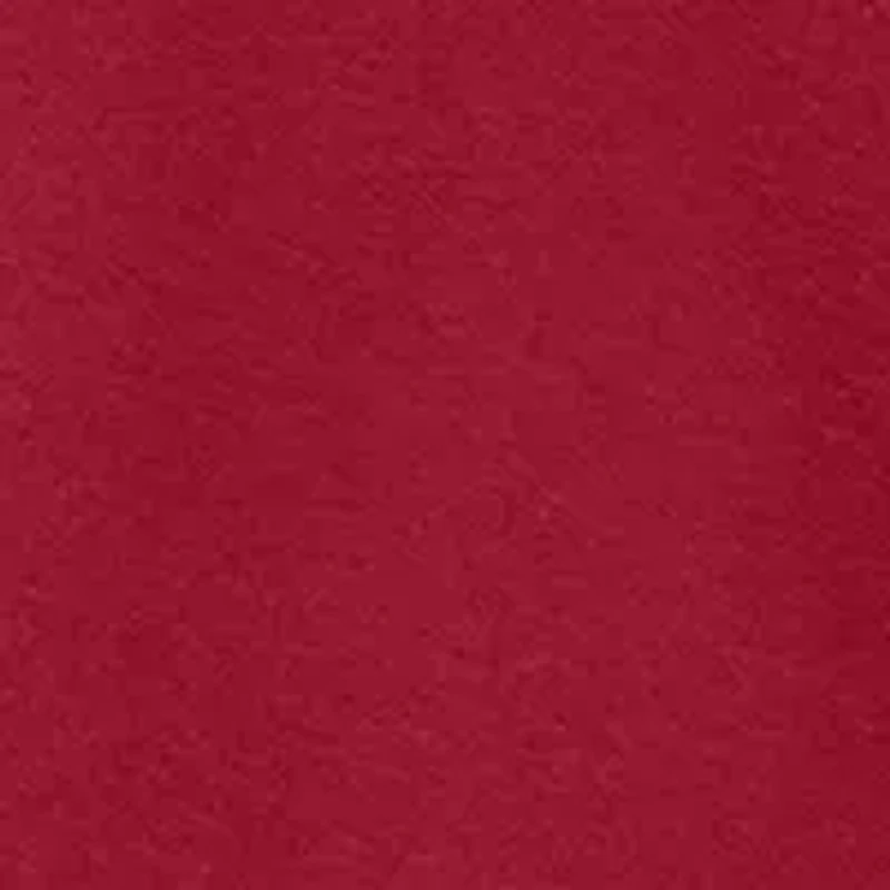 NCAA Alabama Crimson Tide Twill Appliqué Hoodie