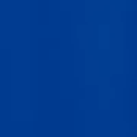 NCAA Kentucky Wildcats Take the Lead Polo Shirt