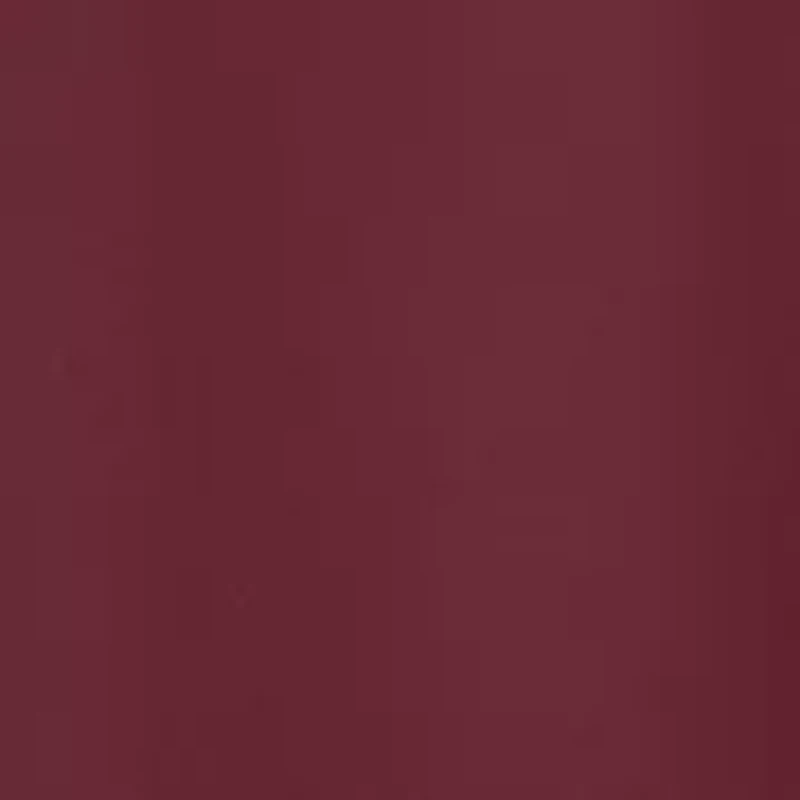 NCAA Texas A&M Aggies Take the Lead Polo Shirt