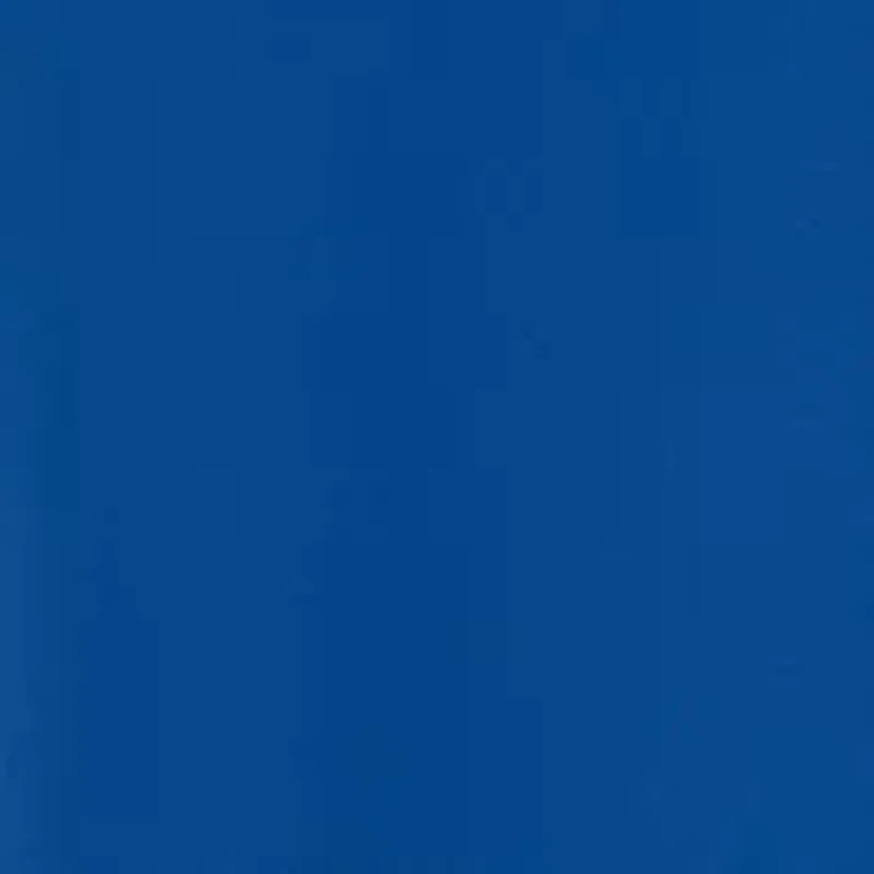 NCAA Florida Gators Take the Lead Polo Shirt