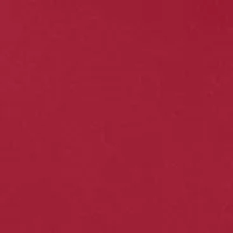 NCAA Alabama Crimson Tide Graphic T-Shirt