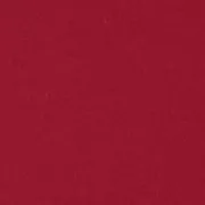 NCAA Alabama Crimson Tide Short Sleeve Graphic T-Shirt