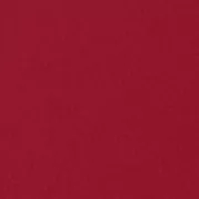 NCAA Alabama Crimson Tide Embrace the Journey Short Sleeve Graphic T-Shirt