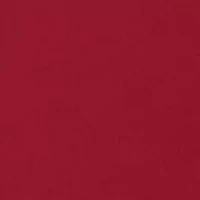 NCAA Alabama Crimson Tide Embrace the Journey Short Sleeve Graphic T-Shirt