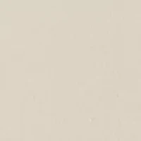 NCAA Texas A&M Aggies  Fearless Drive Graphic T-Shirt