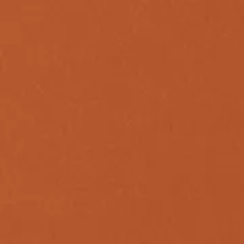 NCAA Texas Longhorns  Short Sleeve Graphic T-Shirt