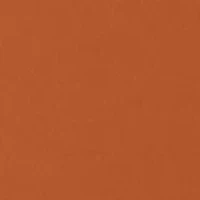 NCAA Texas Longhorns  Short Sleeve Graphic T-Shirt