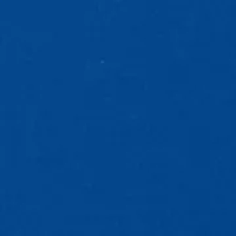 NCAA Florida Gators Short Sleeve Graphic T-Shirt