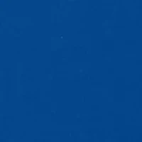 NCAA Florida Gators Short Sleeve Graphic T-Shirt