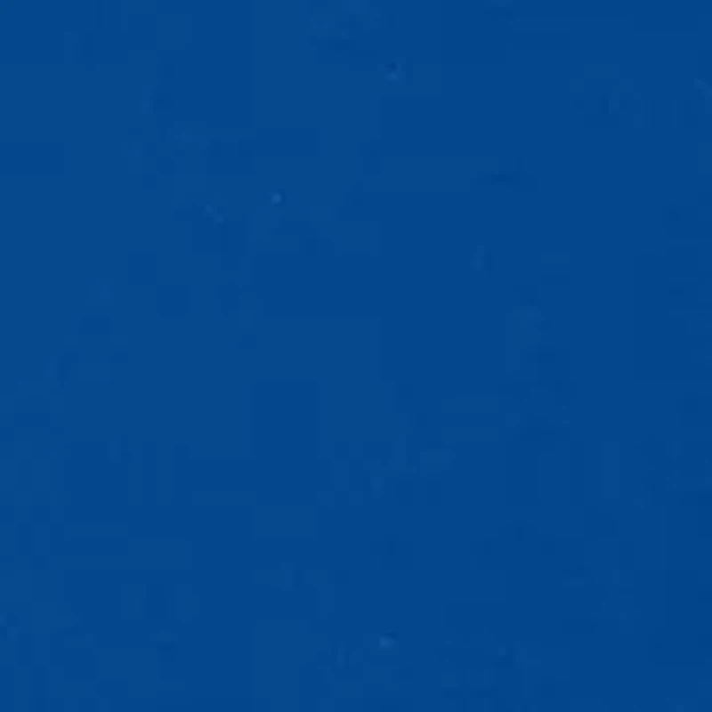 NCAA Florida Gators  Short Sleeve Graphic T-Shirt