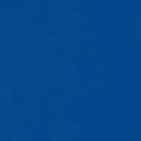 NCAA Florida Gators  Short Sleeve Graphic T-Shirt