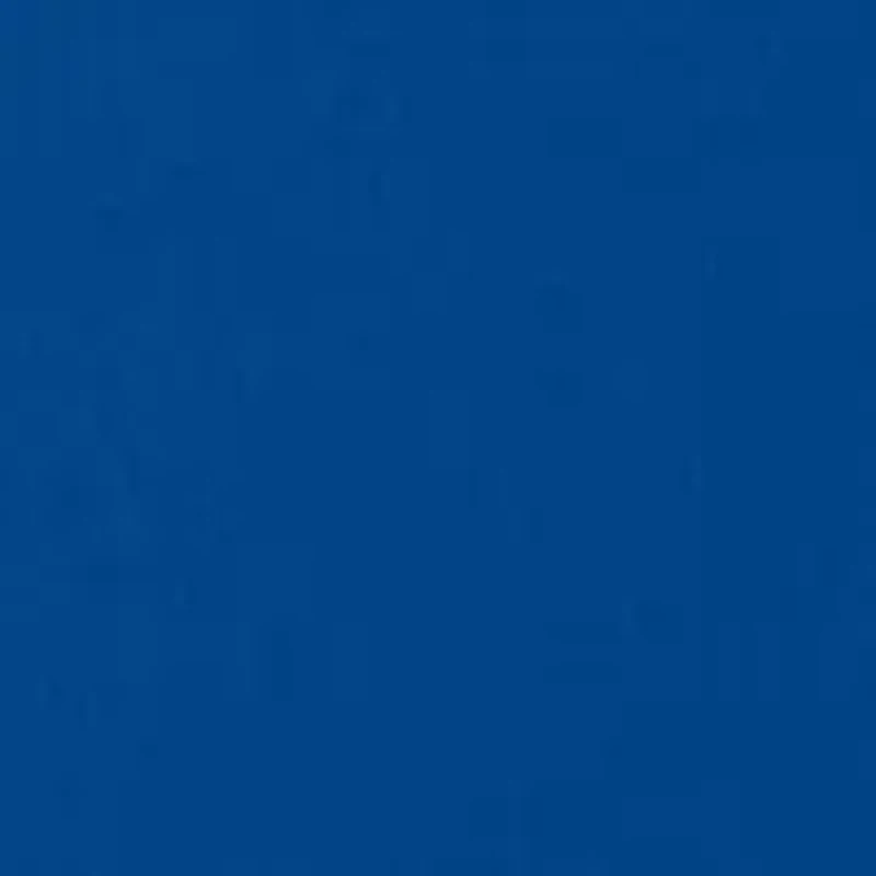 NCAA Florida Gators Short Sleeve Graphic T-Shirt