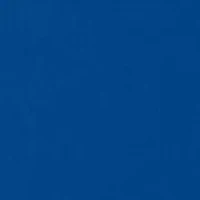 NCAA Florida Gators Short Sleeve Graphic T-Shirt