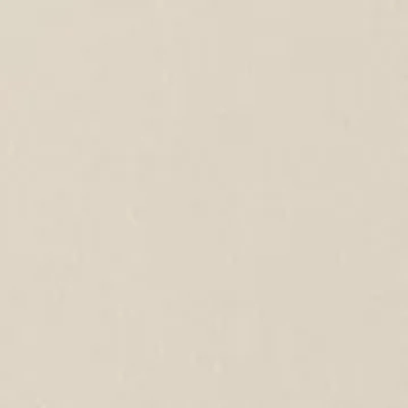 NCAA Florida Gators Fearless Drive Graphic T-Shirt