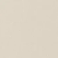 NCAA Florida Gators Fearless Drive Graphic T-Shirt