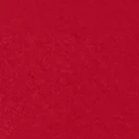 NCAA Alabama Crimson Tide Stellar Excellence Hoodie