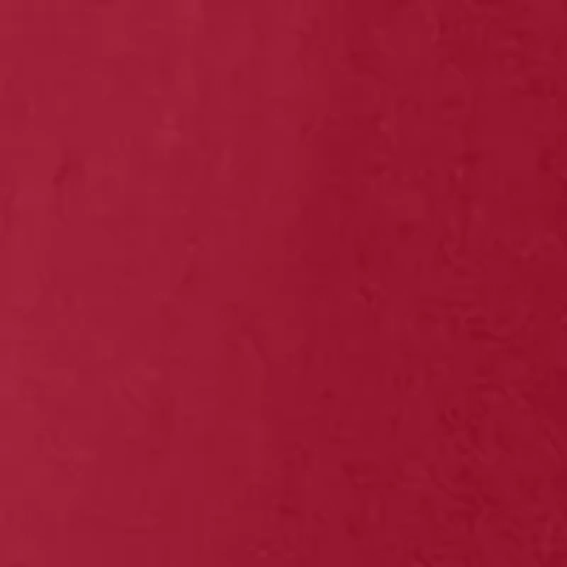 NCAA Alabama Crimson Tide Short Sleeve Graphic T-Shirt